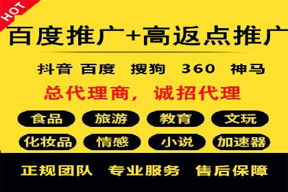 SEM托管公司案例分析：实战技巧全解析